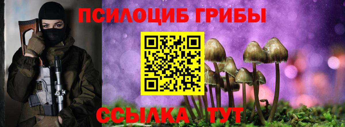 Галлюциногенные грибы мухоморы Новый Уренгой